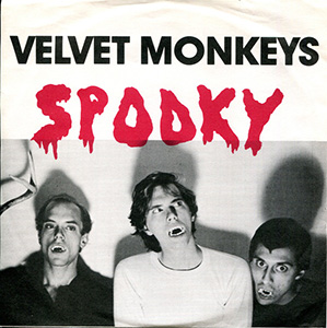 Velvet Monkeys