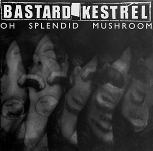 Bastard Kestrel